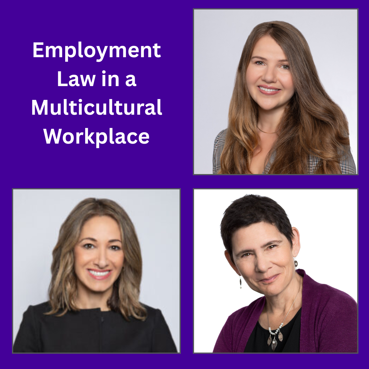Employment Law in a Multicultural Workplace